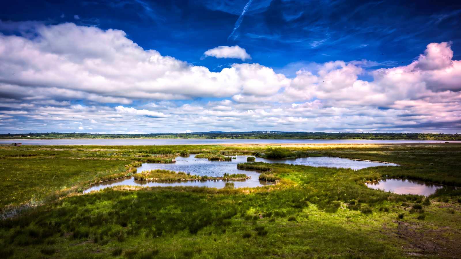 RSPB Portmore Lough