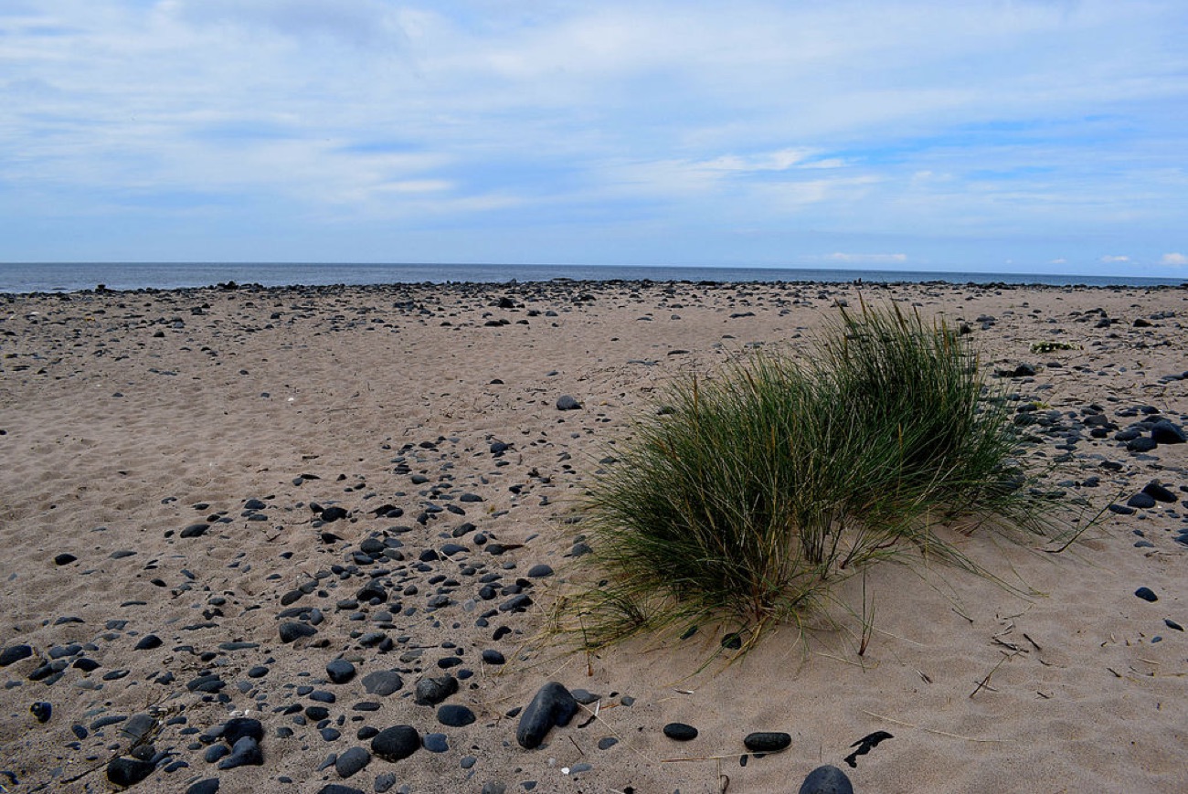 Sand, dune grass and dark basalt cobbles on Runkerry Strand with the open sea beyond