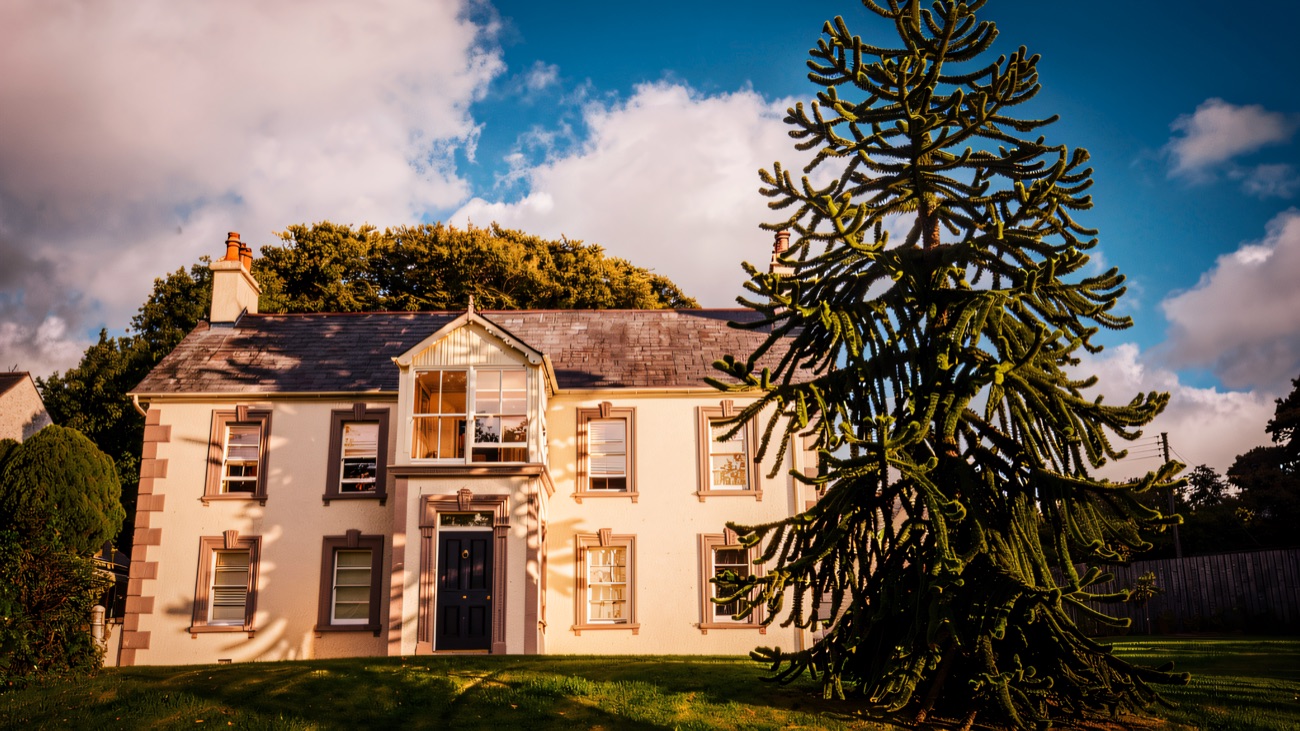 The farmhouse framed by its mature monkey-puzzle tree against a bright sky.