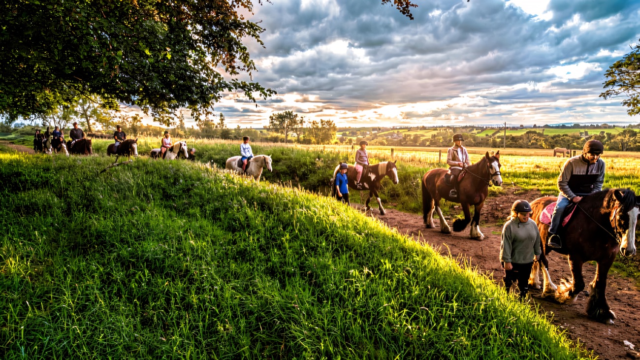 A group setting off along the farm track through green fields
