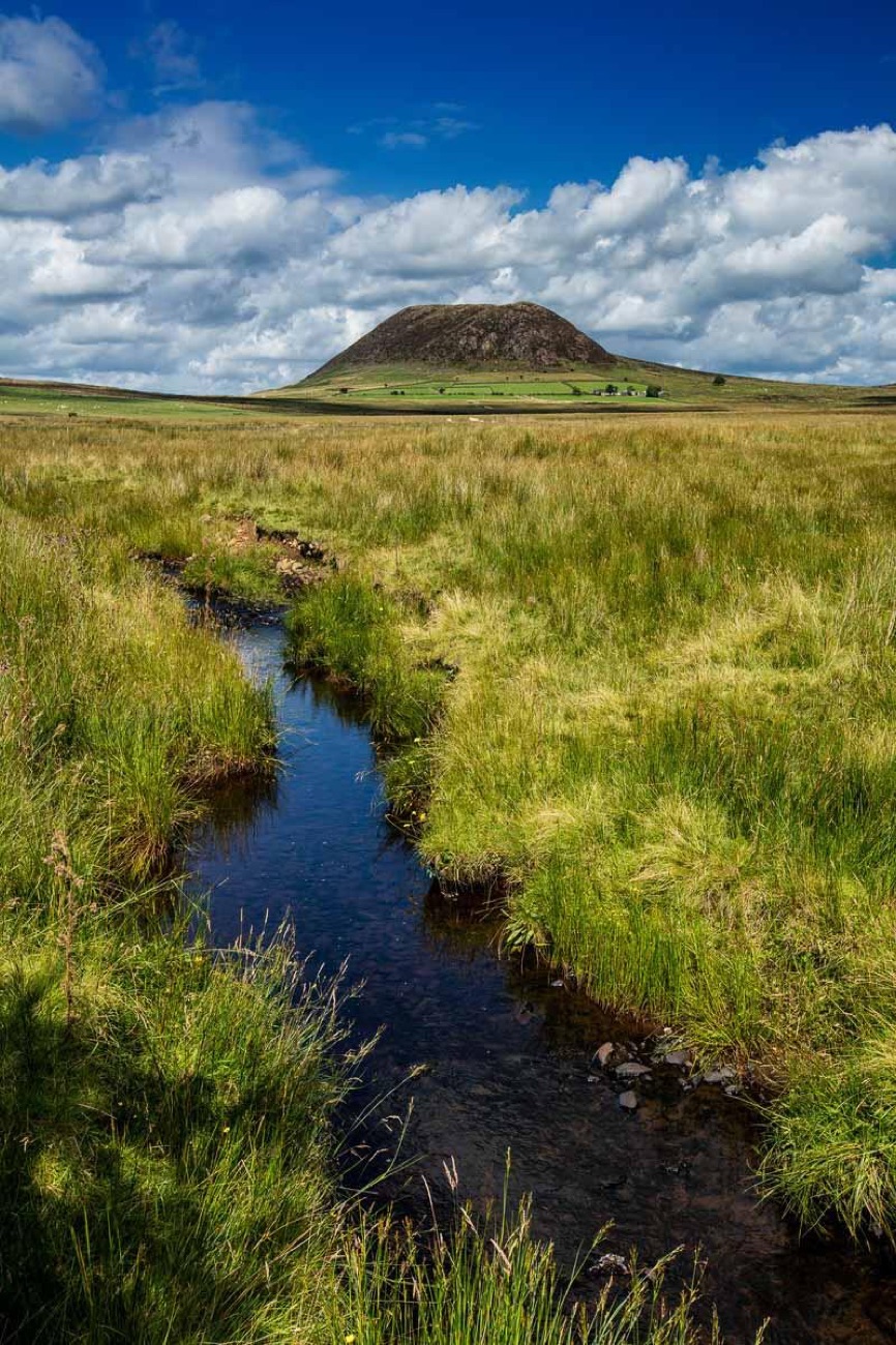 A little stream threading through lush green grassland below Slemish — the open Dothraki-grasslands look