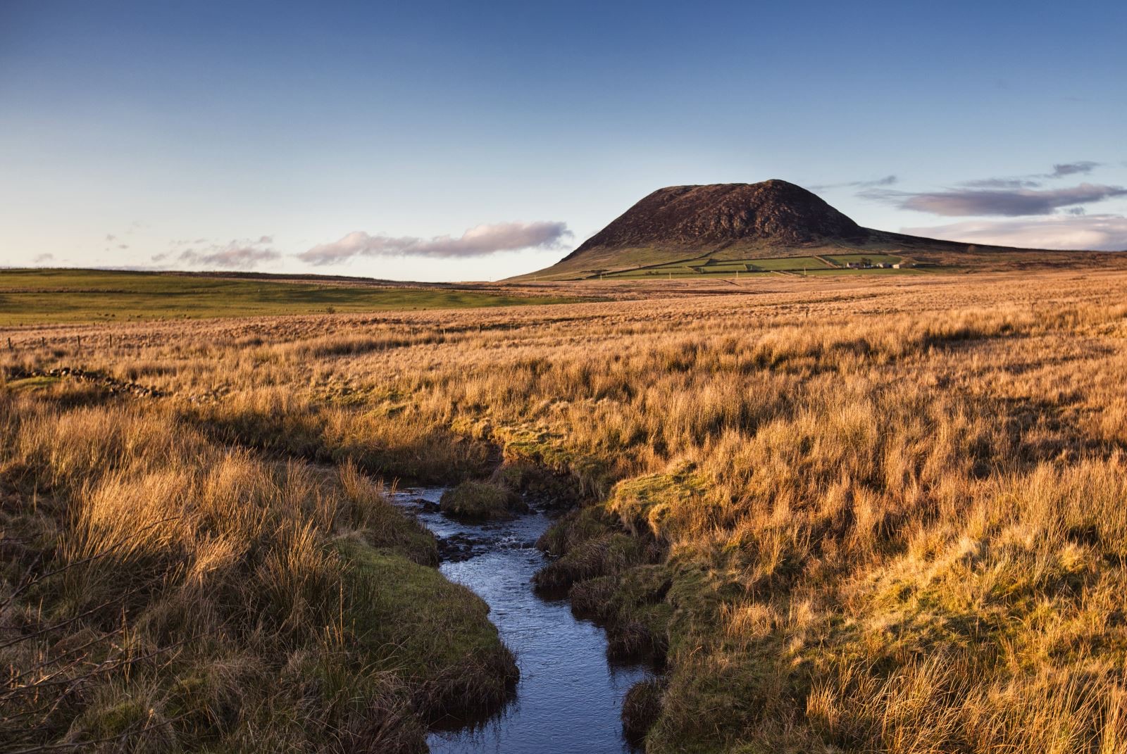 A small stream winding through golden moorland grass towards the dark cone of Slemish mountain at Shillanavogy Valley