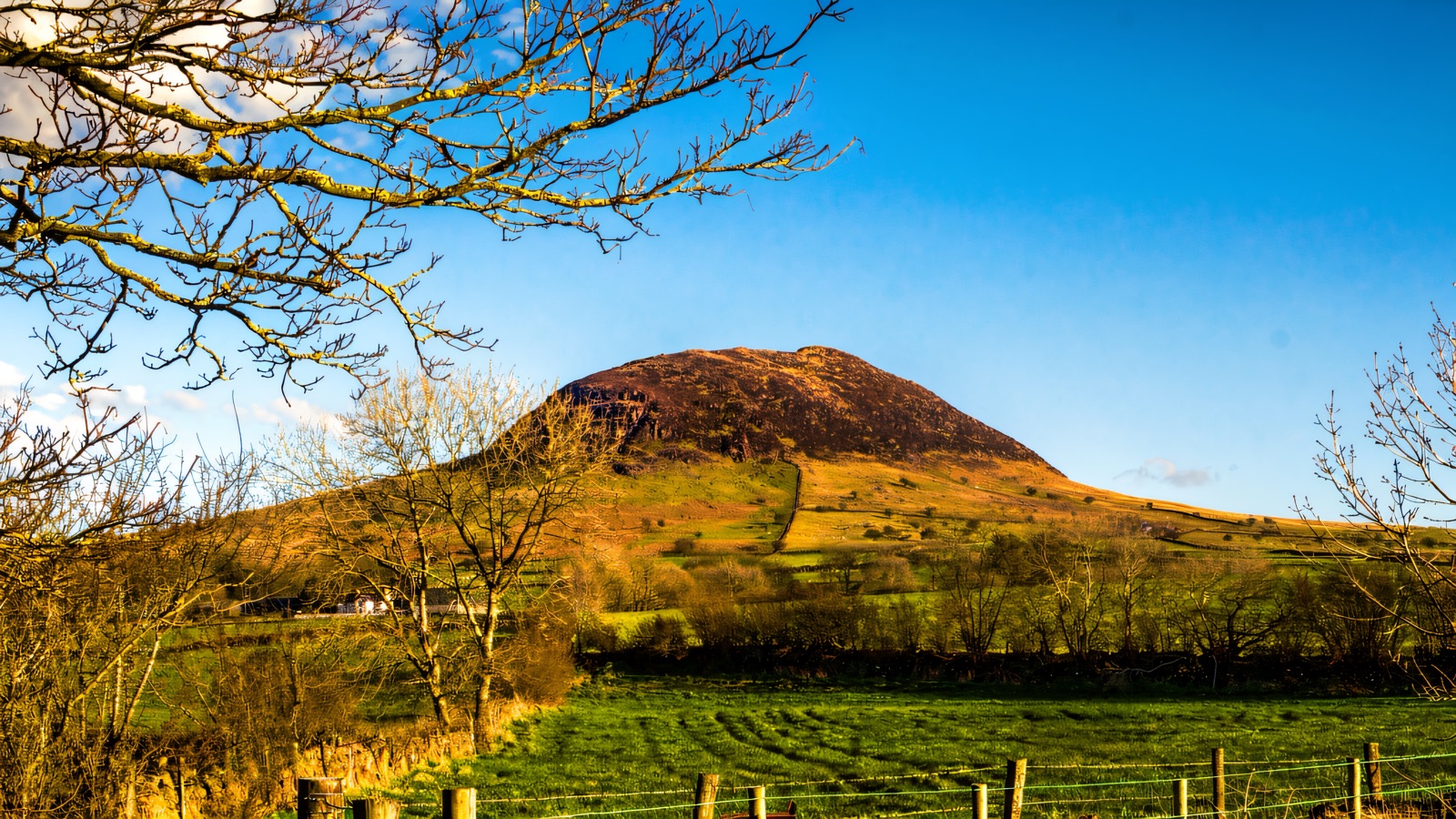The domed volcanic hill of Slemish rising over green fields, framed by a bare tree under a blue sky