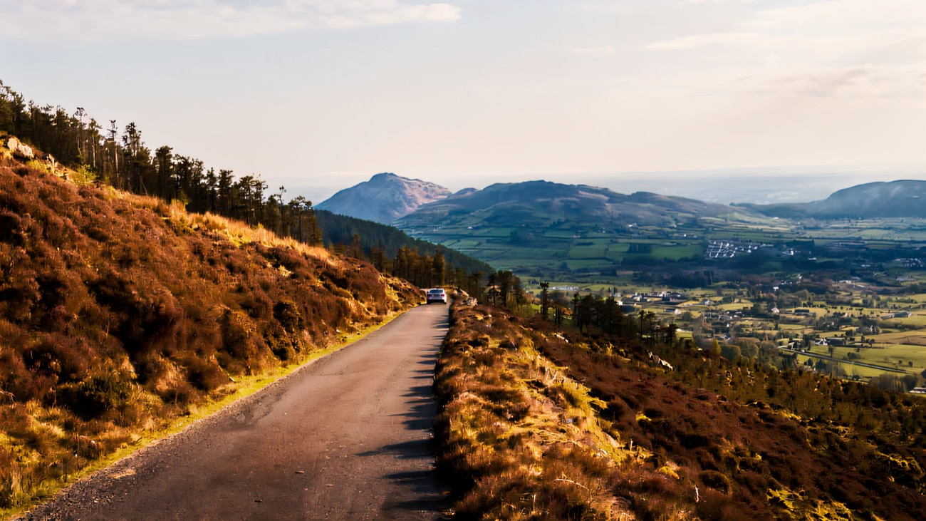 The narrow one-way scenic forest drive climbing the heather-covered mountain with wide views over the Ring of Gullion