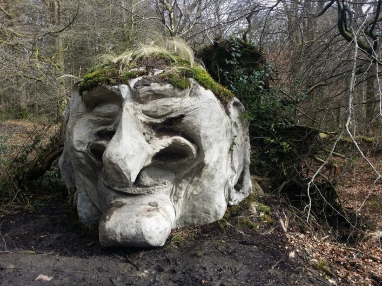 A huge carved stone face with moss for hair sits among the trees on the Giant's Lair story trail.