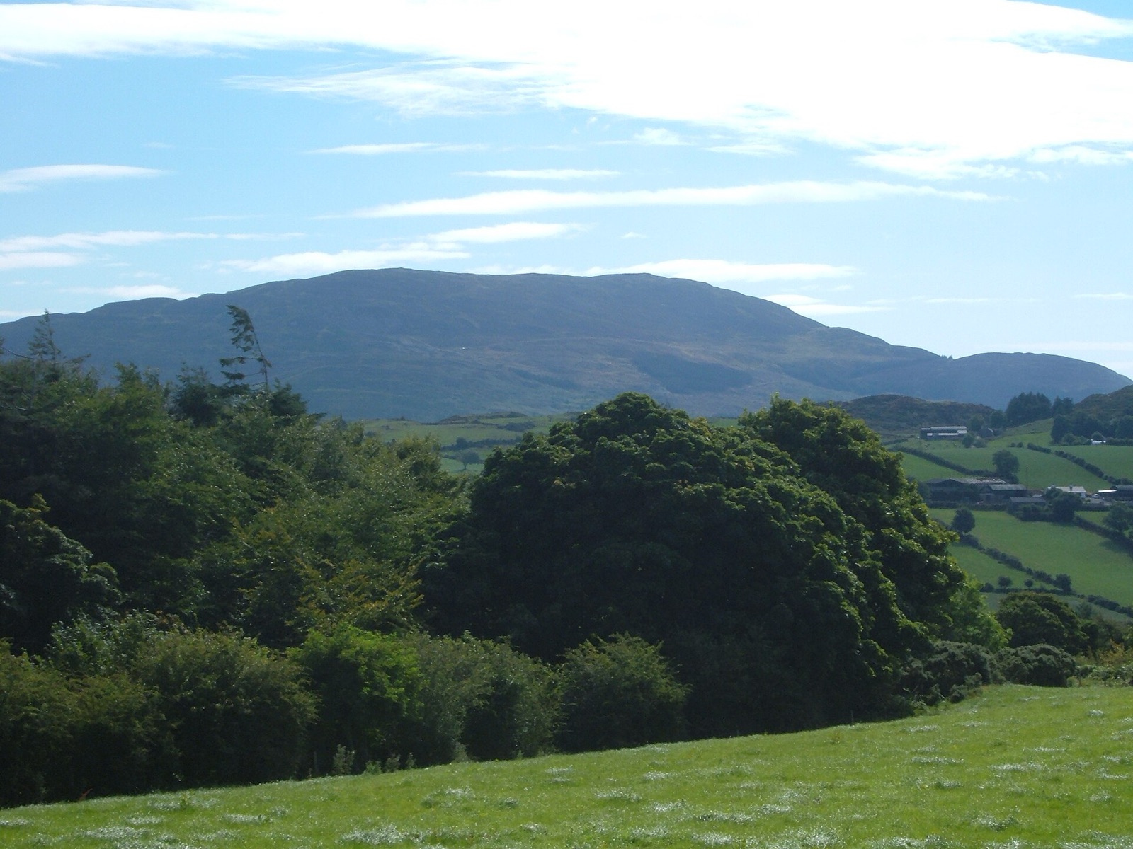 The heather-covered slopes of Slieve Gullion rising above the forest in south Armagh