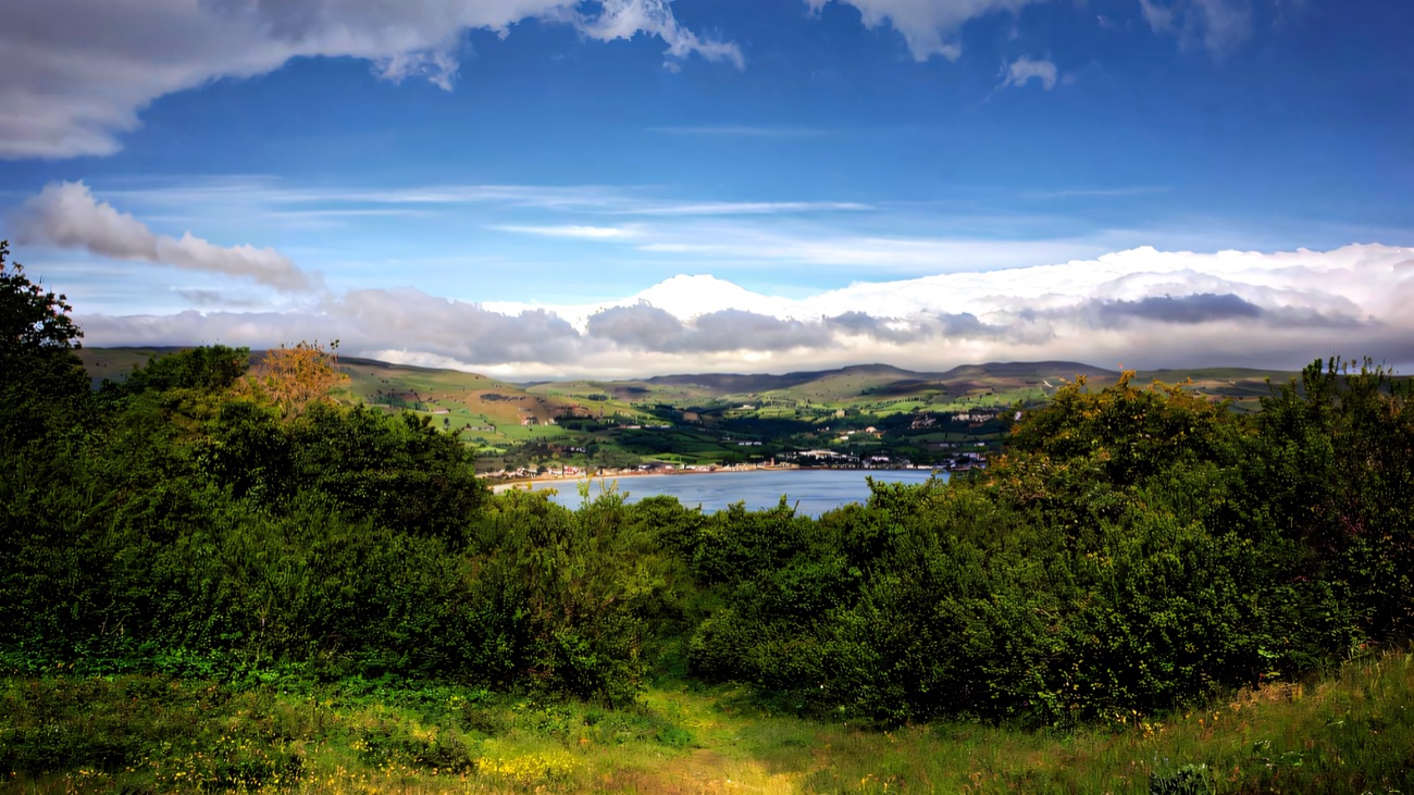 The view out over Carnlough Bay from the reserve's slopes above the Antrim coast road.