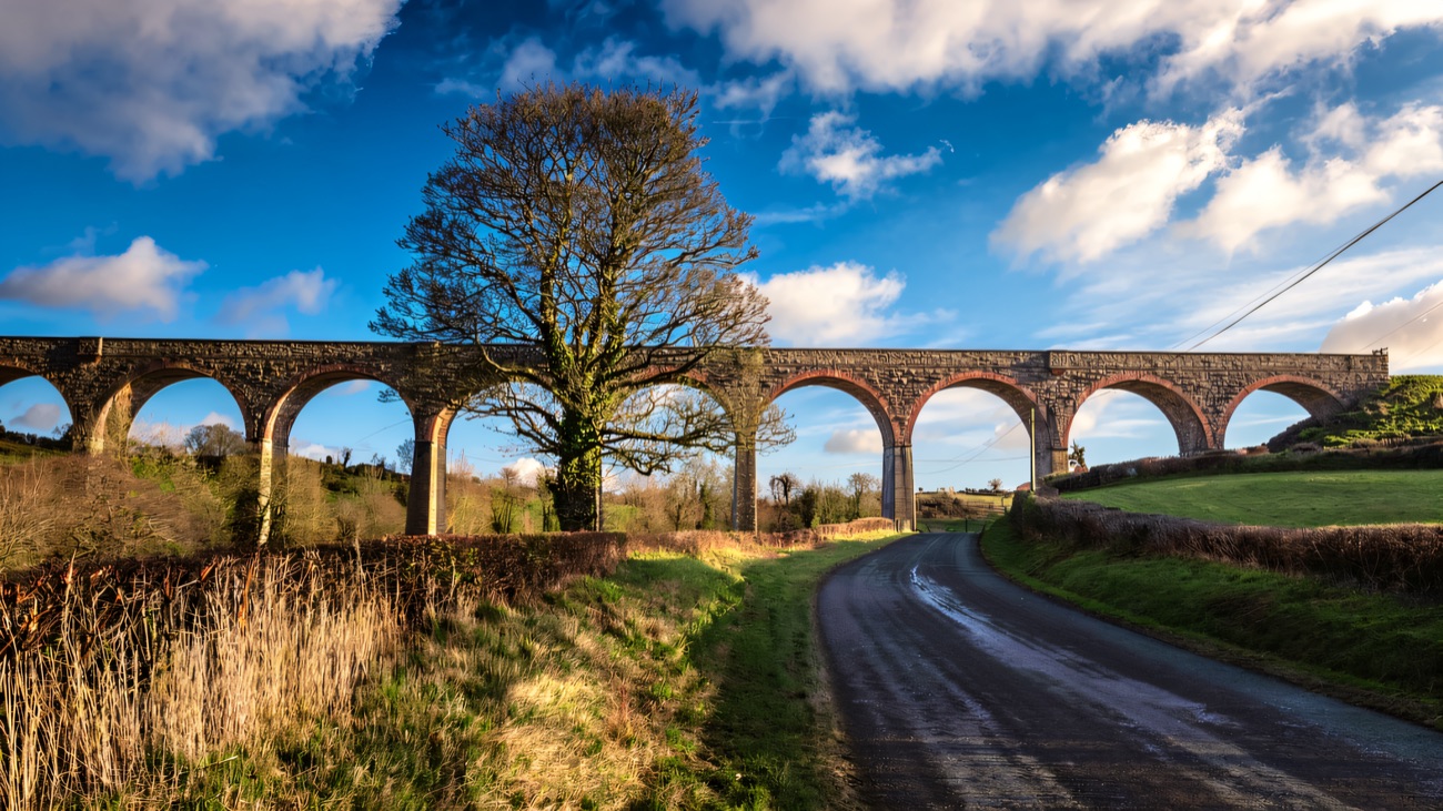 The full span seen from the road, a tall tree beneath the arches.
