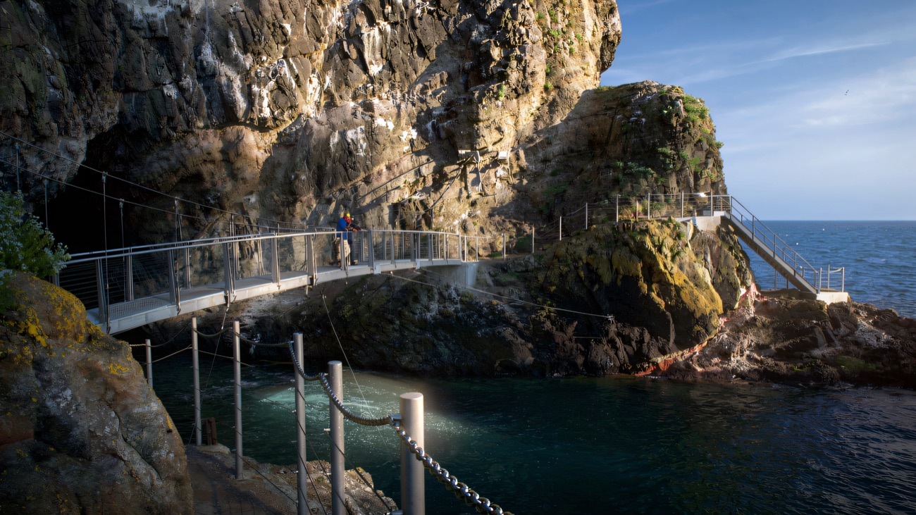 The bridge crossing an inlet beneath seabird-splashed basalt cliffs