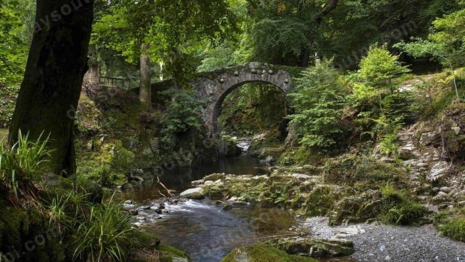 Tollymore Forest Park (GoT filming)