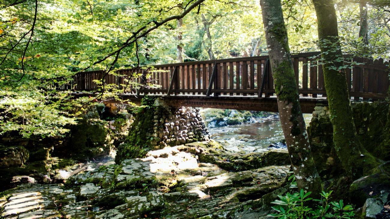 A wooden footbridge over a rocky stretch of the Shimna River, deep in sunlit green forest at Tollymore
