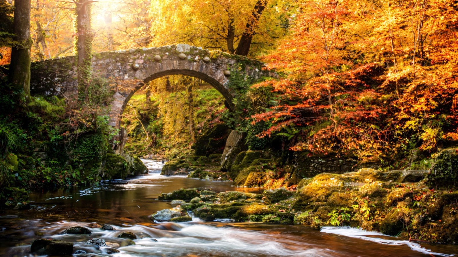 An old stone arch bridge over the Shimna River at Tollymore surrounded by trees