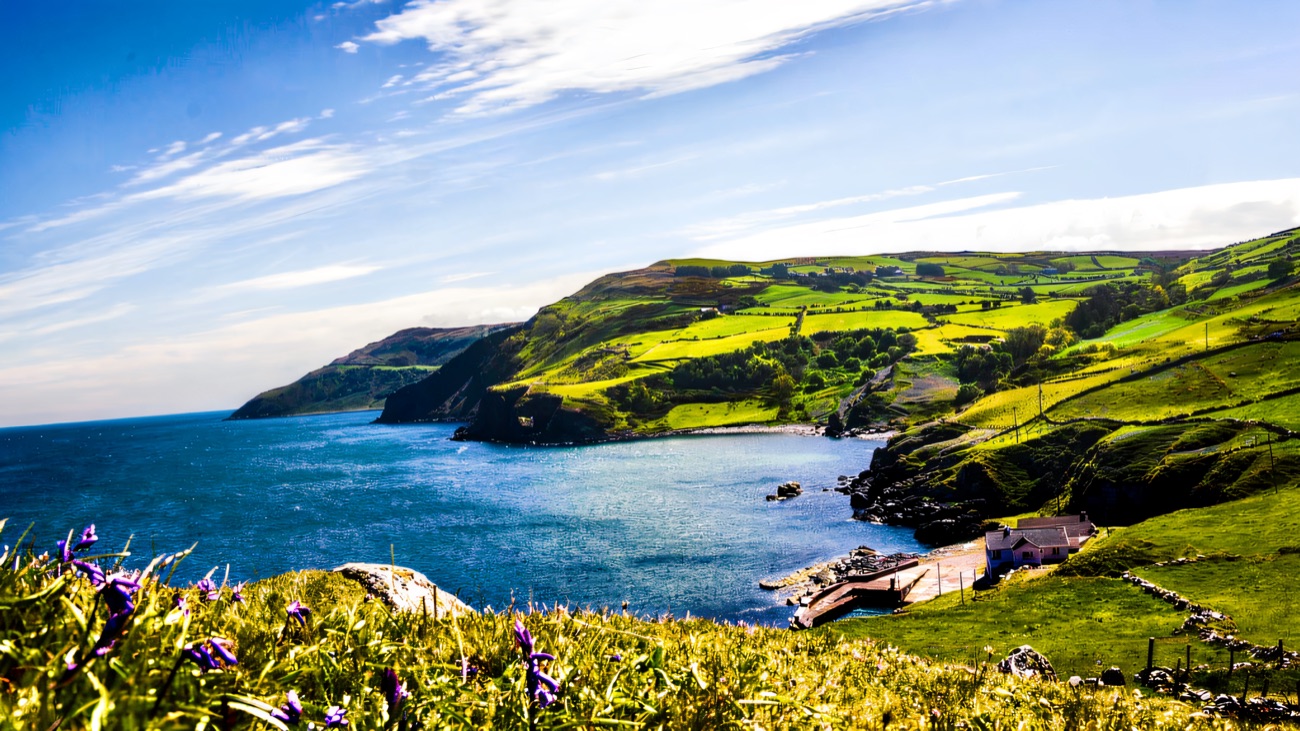The green headland and its little cove, bluebells in the grass under a blue sky