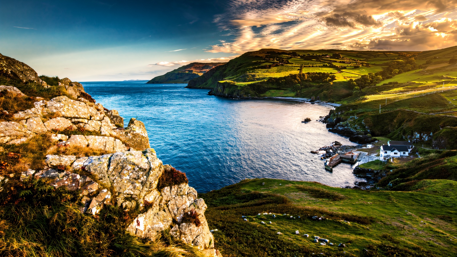 Torr Head Loop
