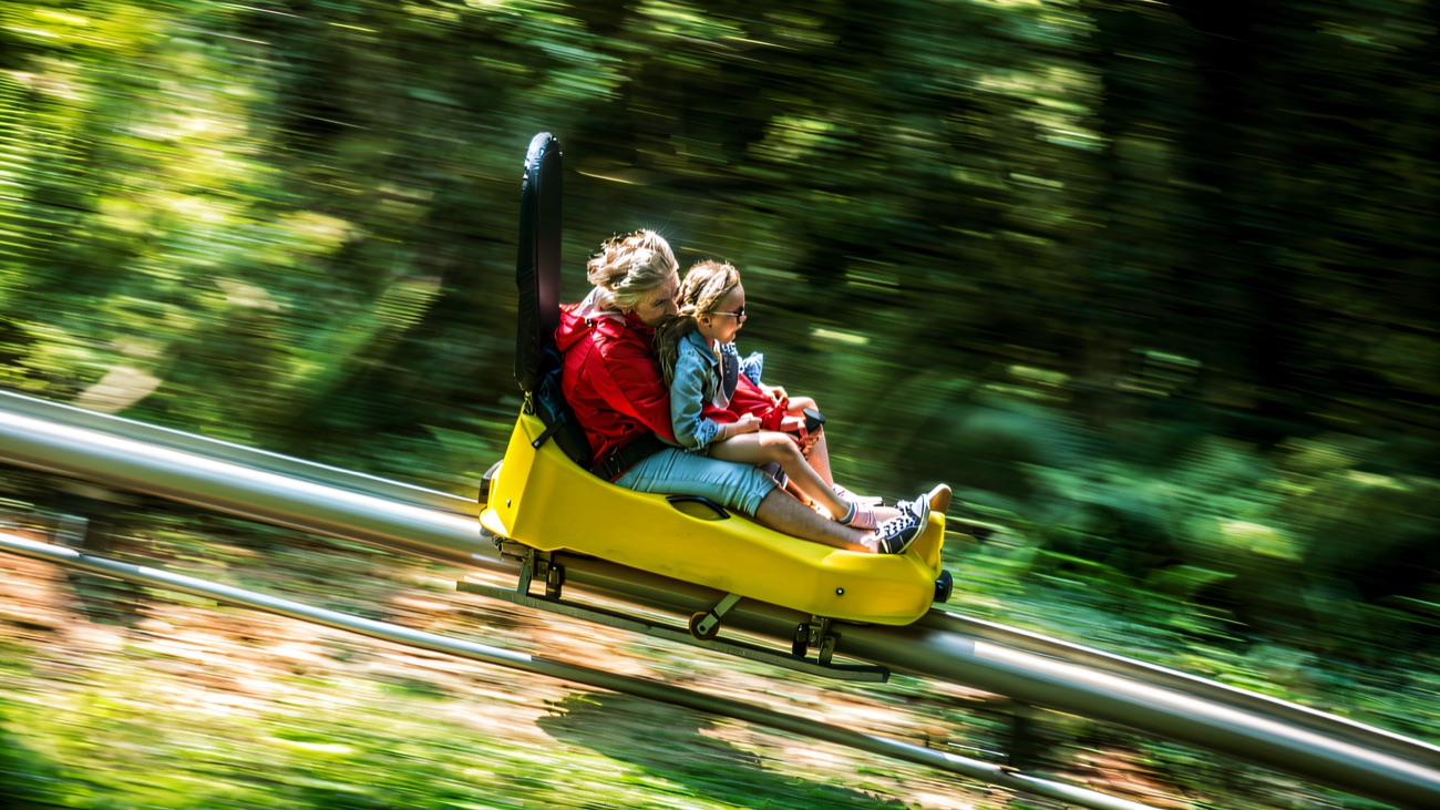 Racing the forest alpine coaster through a blur of green