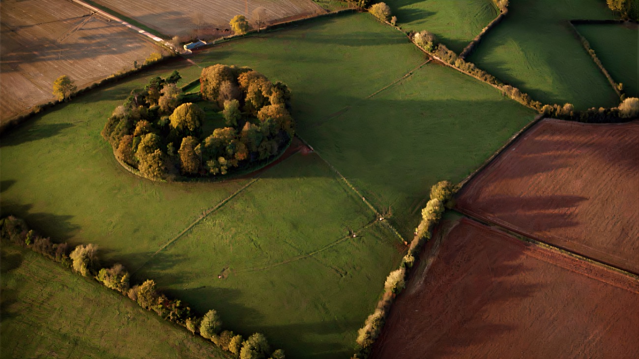 A wider aerial view sets the wooded ringfort among the surrounding farmland.